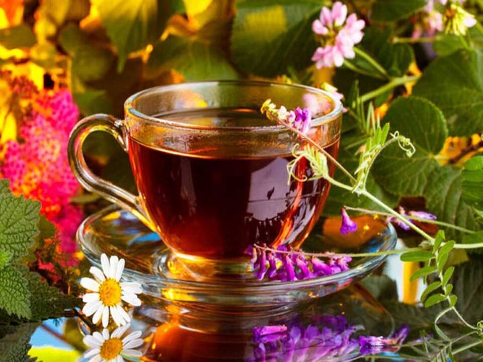 Infusion and decoctions